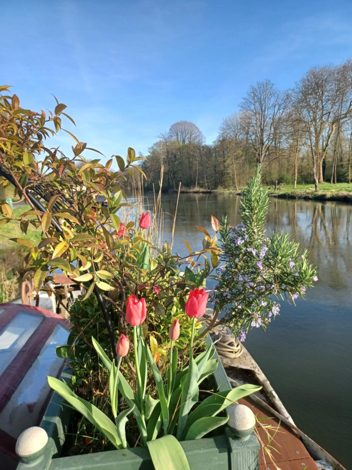 Sur La Somme A Bord De La Peniche Arche De Noe Hotel Pont-Remy Bagian luar foto
